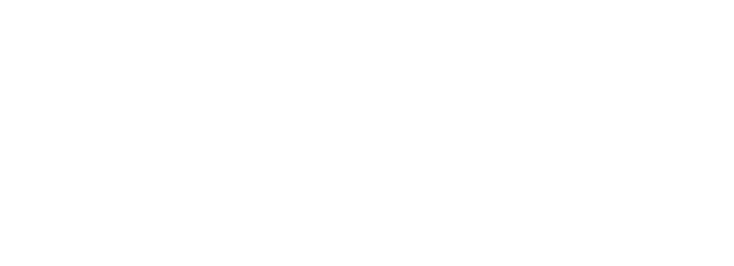 Symbiotic Foundation (Copy)