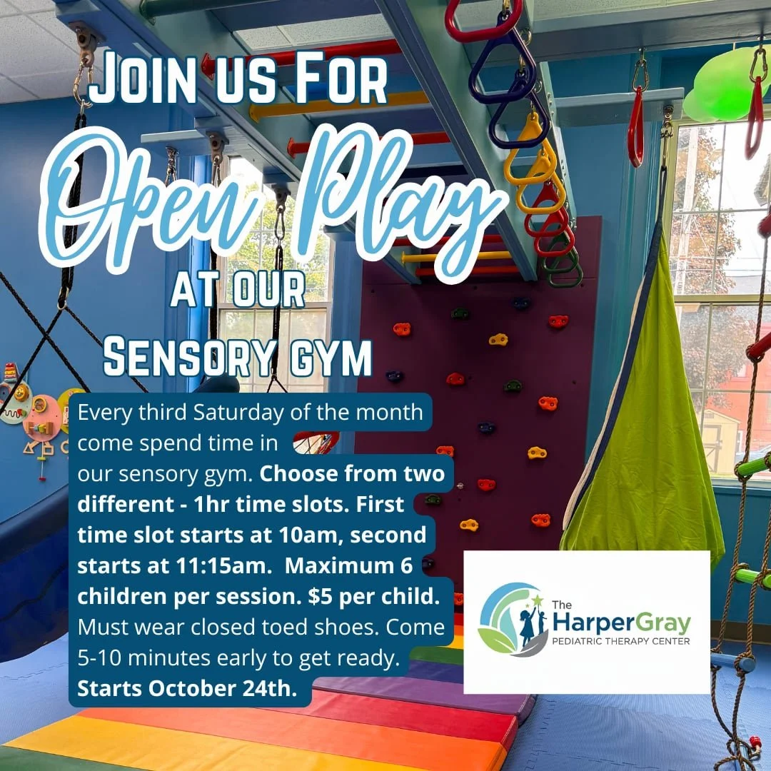 Little Explorers  Sensory Gym Open Play