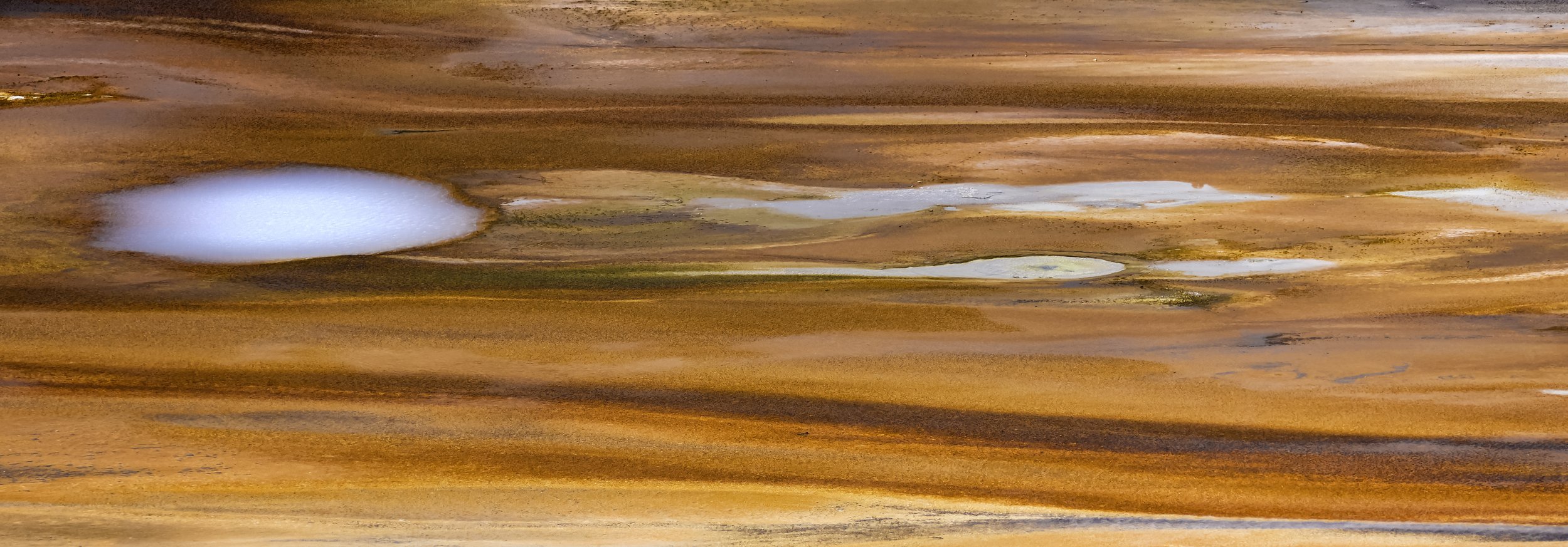211A0576.jpg
