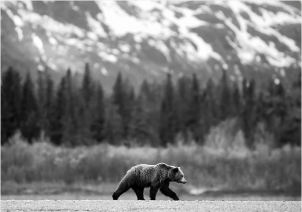 Screenshot 2025-08-19 at 5.17.51 PM.png