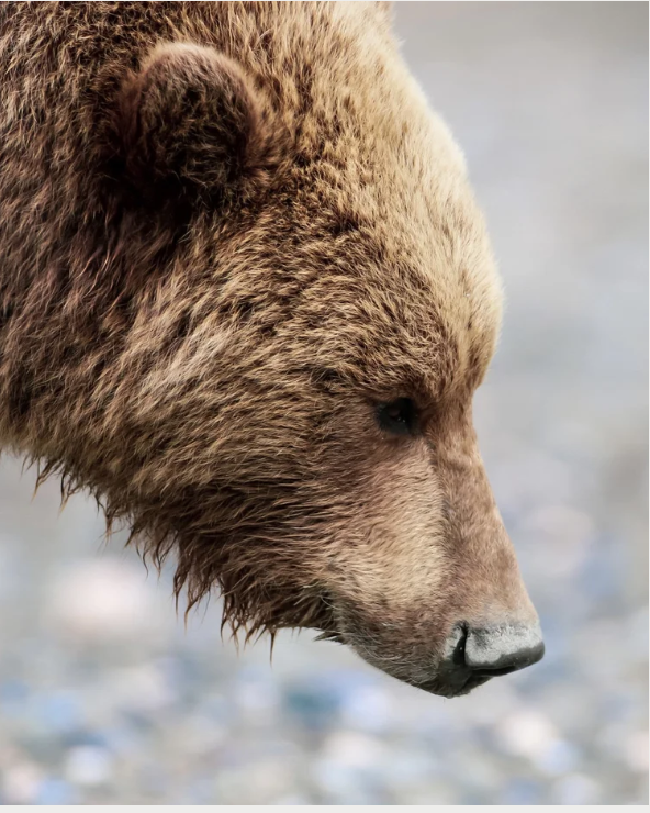 Screenshot 2025-08-19 at 5.17.43 PM.png