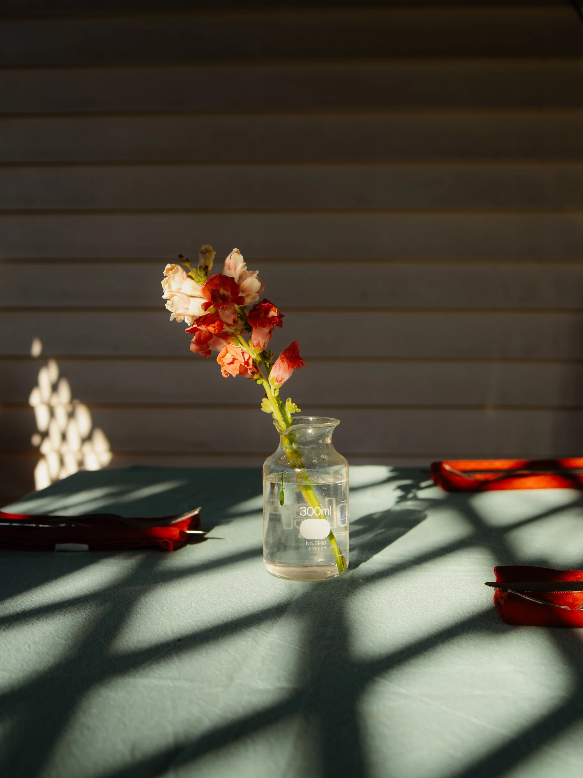 A small glass vase with pink and red flowers on a light green surface, with shadows from a patterned window behind it.
