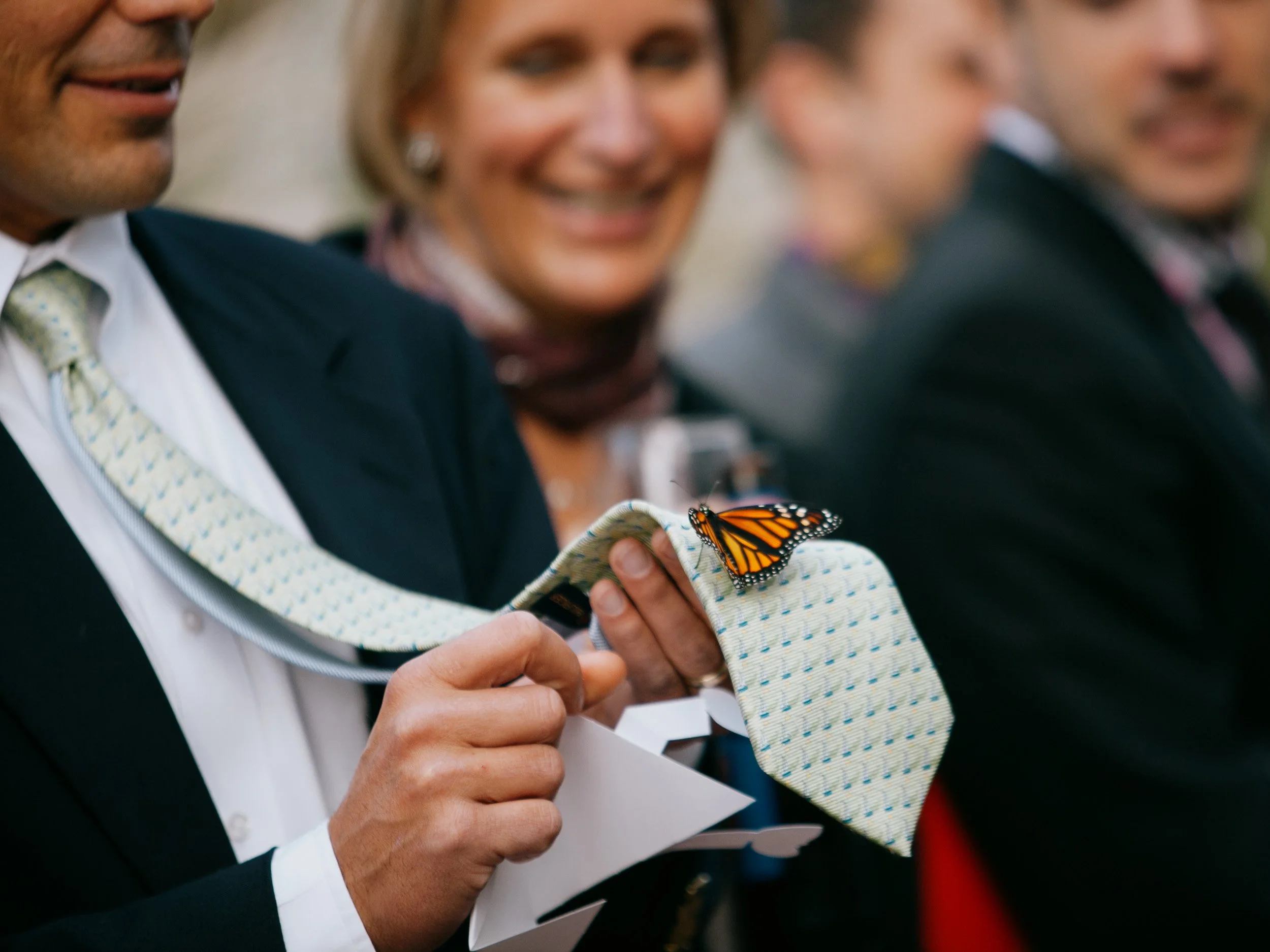 A man in a suit holding his tie with an orange and black butterfly on it, at a formal event.