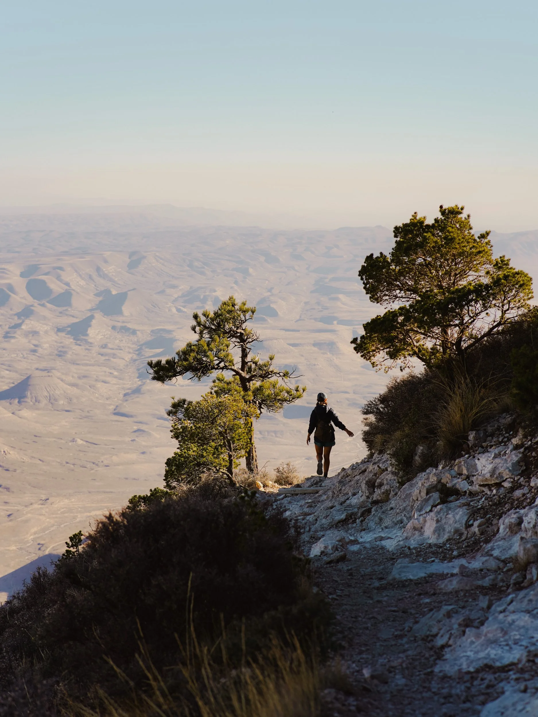 A person hiking on a rugged trail at Guadalupe Peak along a hillside with trees, overlooking a desert landscape with hills and flat terrain under a clear sky.