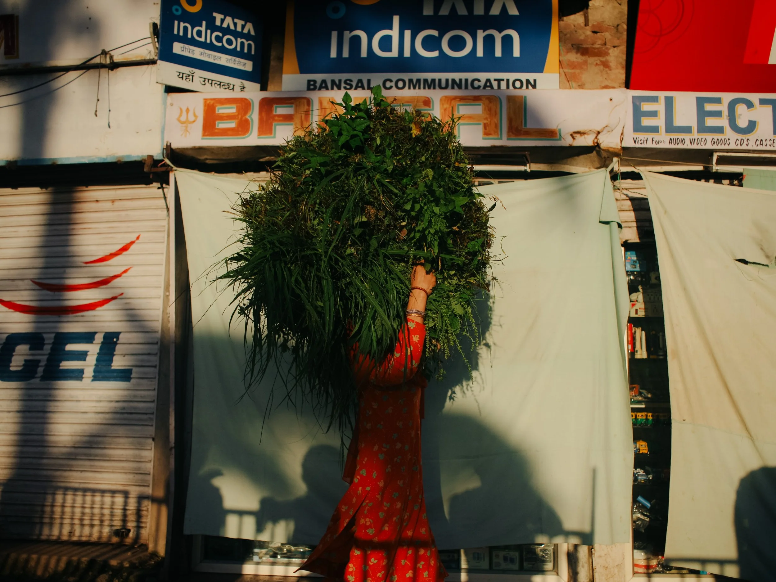 A woman dressed in red with gold patterns is carrying a large bunch of green plants on her head, standing in front of closed shop shutters with signs in English and Hindi, in an outdoor street setting.