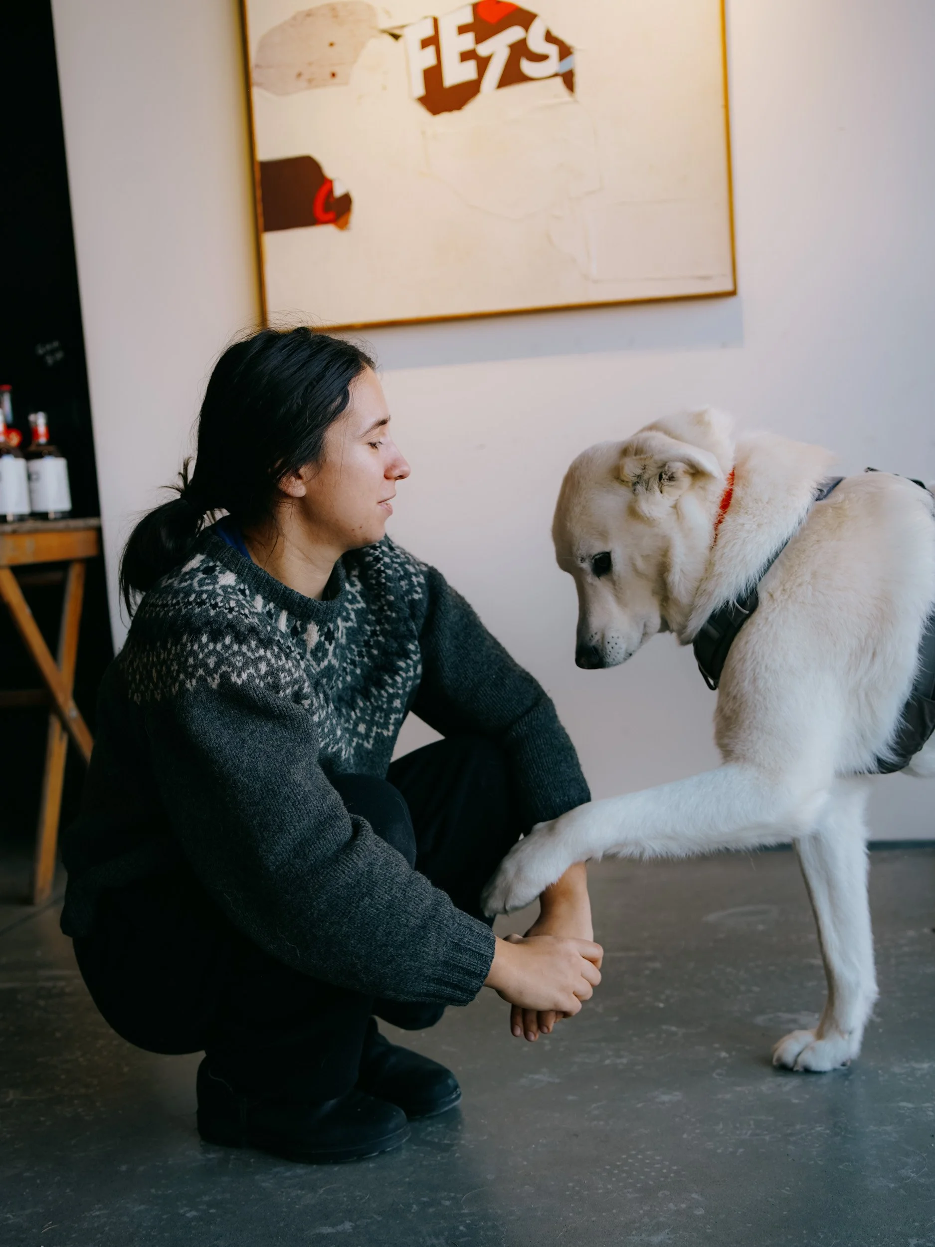 A woman with dark hair kneels on the floor, holding her arm, as a large light-colored dog with red collar gestures with its paw. They are inside a room with artwork and bottles in the background.