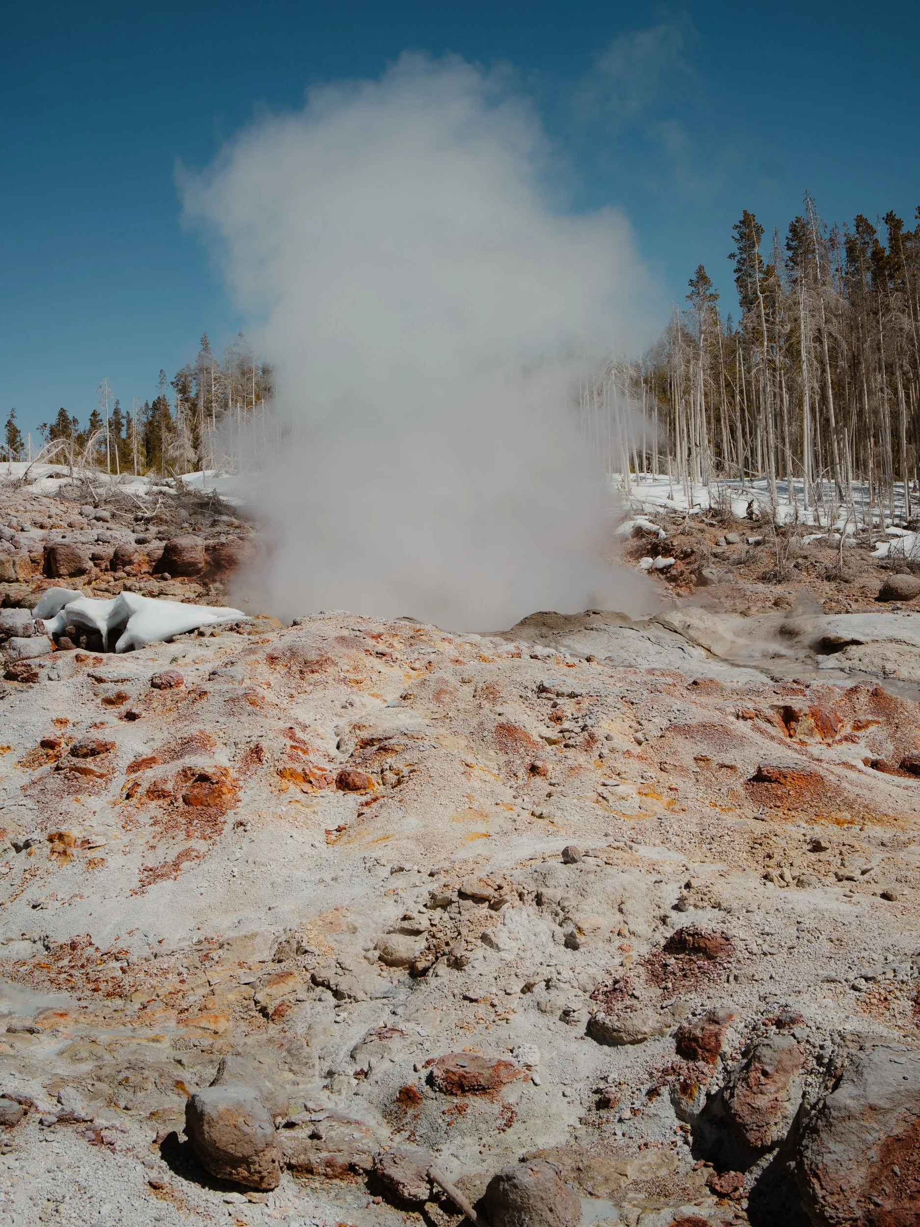 Geothermal vent erupting steam in a rocky, barren area with snow and a forest of leafless trees in the background.