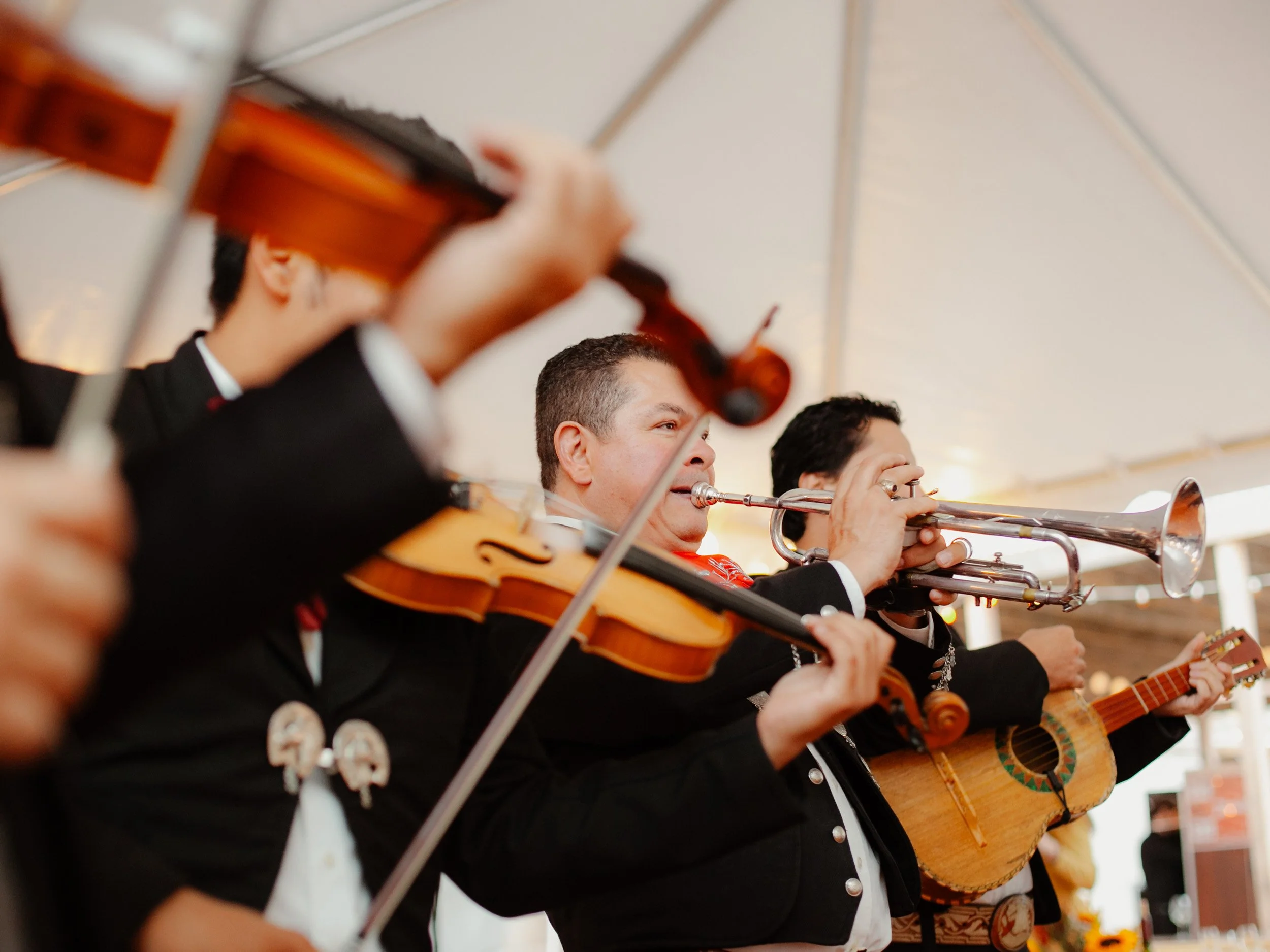 Three mariachi musicians playing instruments under a white tent, including a violinist, a trumpeter, and a guitarist, dressed in traditional Mexican attire.