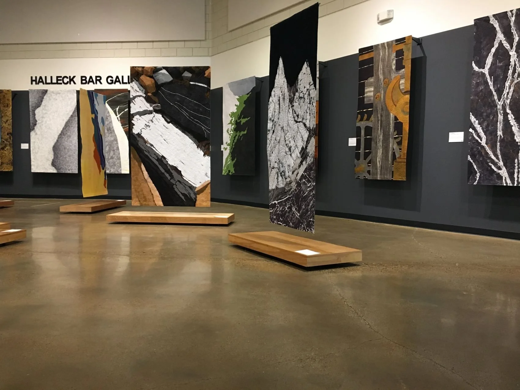 Ann Johnston Northeastern Nevada Museum.JPG