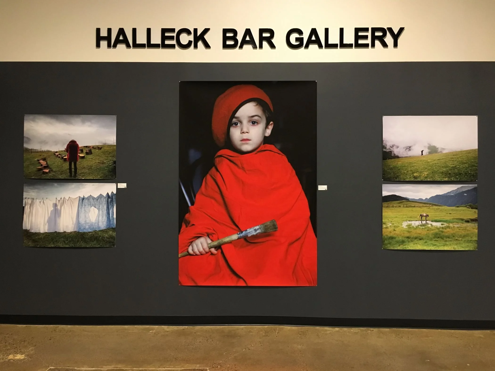 Irakli Dzneladze Art Halleck Bar Gallery Elko Nevada.JPG