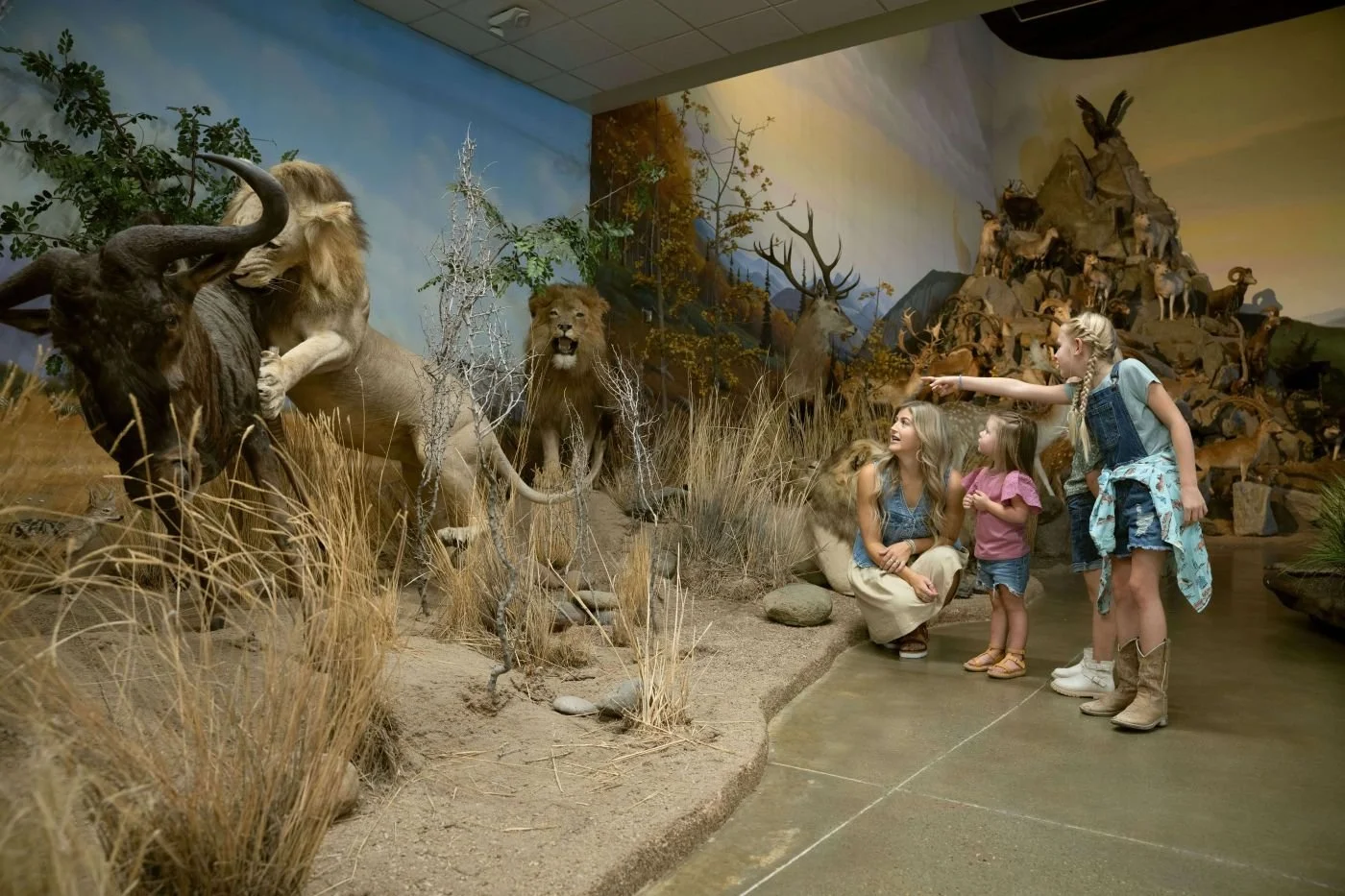 family things to do in elko nv.jpg