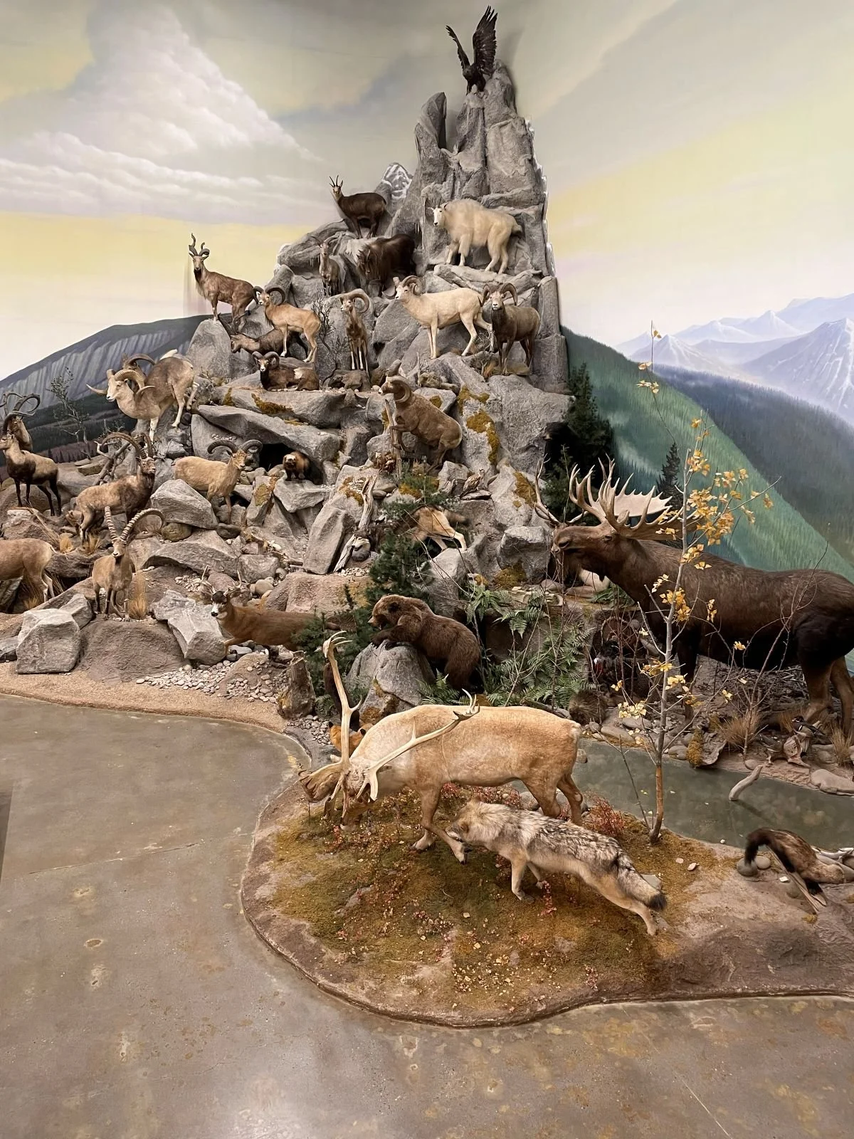 Animal Mountain Wildlife exhibit in Elko Nevada museum