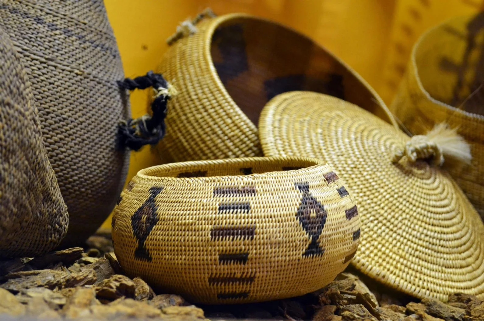 Northeastern Nevada Native American History. Elko Nevada Activities