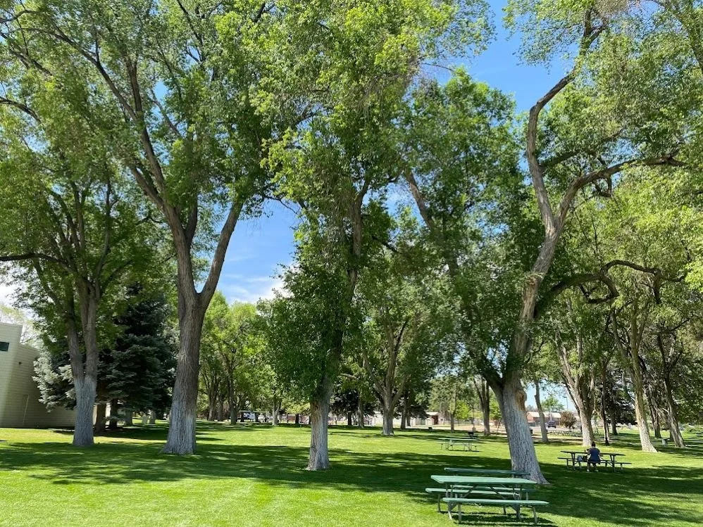 Classic Films In the Park