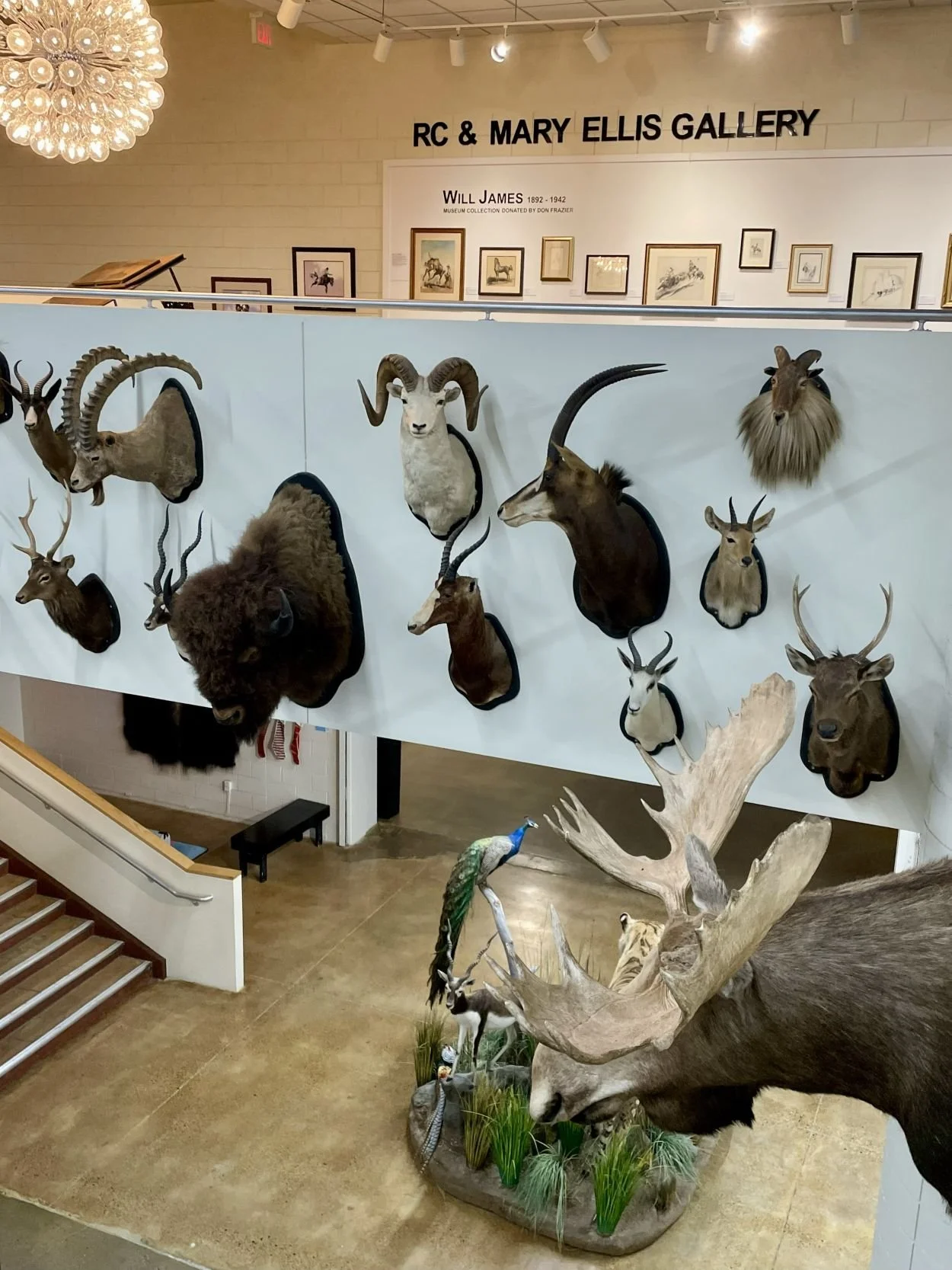 RC Ellis Gallery at Northeastern Nevada Museum in Elko