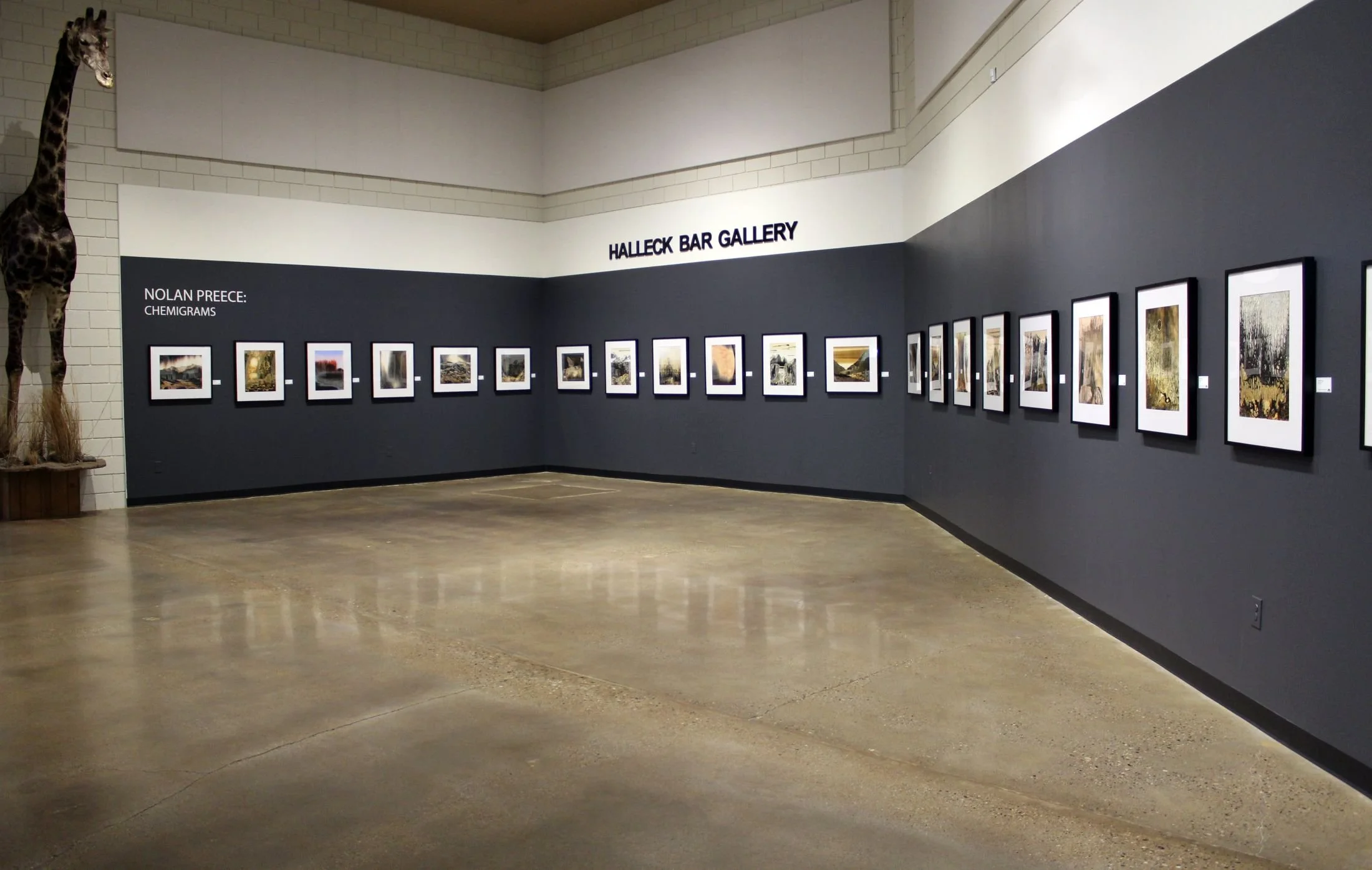 Halleck Bar Gallery Elko Nevada Activities