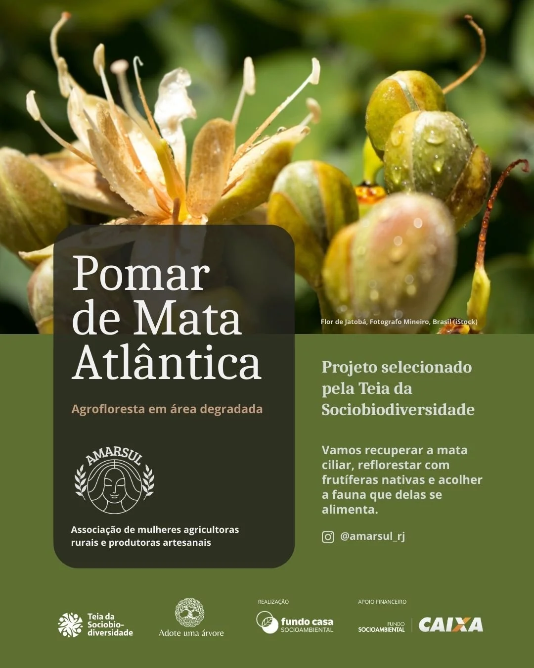 'Pomar de Mata Atlântica' poster design, Rio de Janeiro, Brazil.