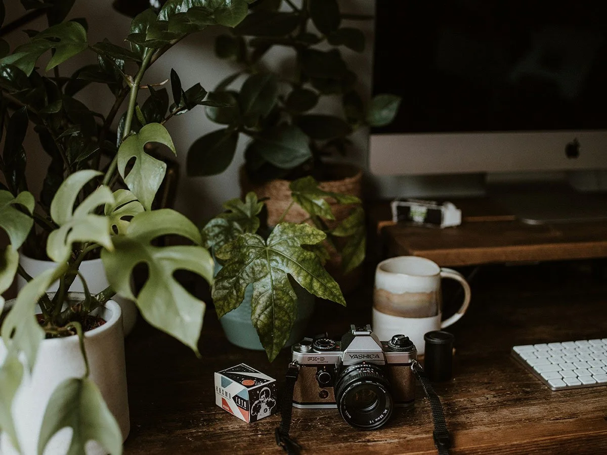 A desktop workspace with a vintage camera, potted plants, a ceramic mug, a keyboard, and an iMac computer on a wooden desk.