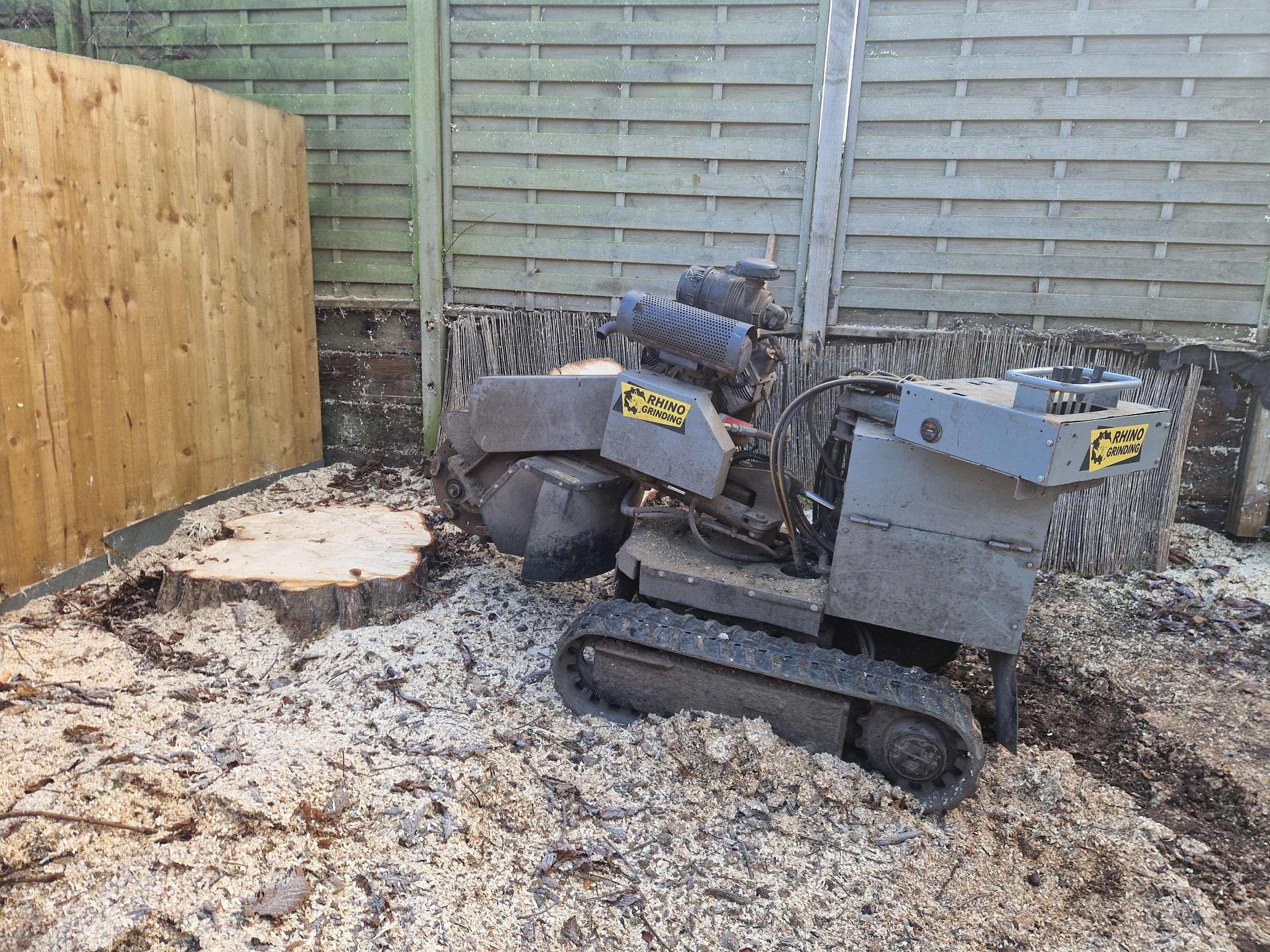 Stump Grinding Dorset