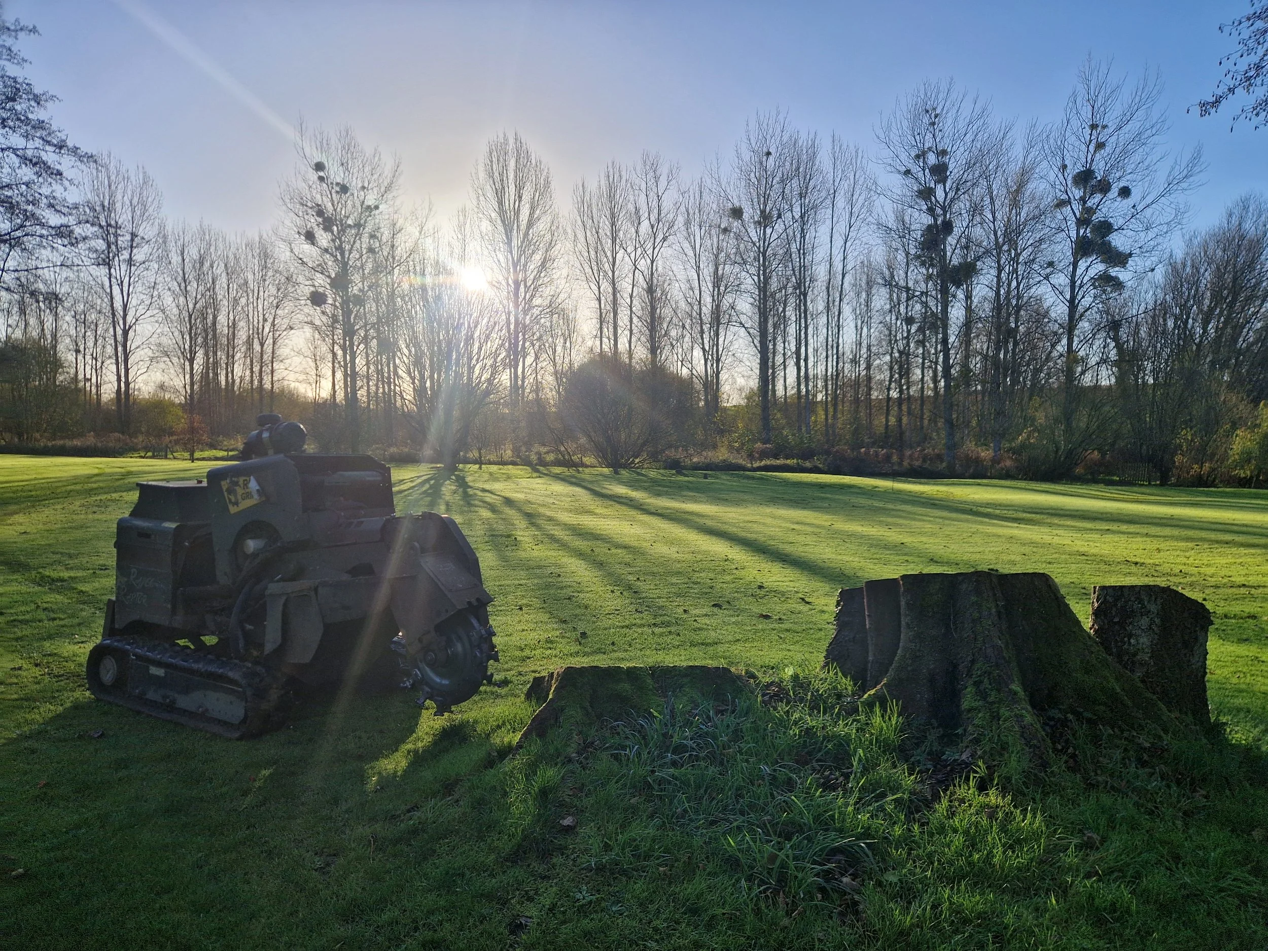 stump grinding Hampshire