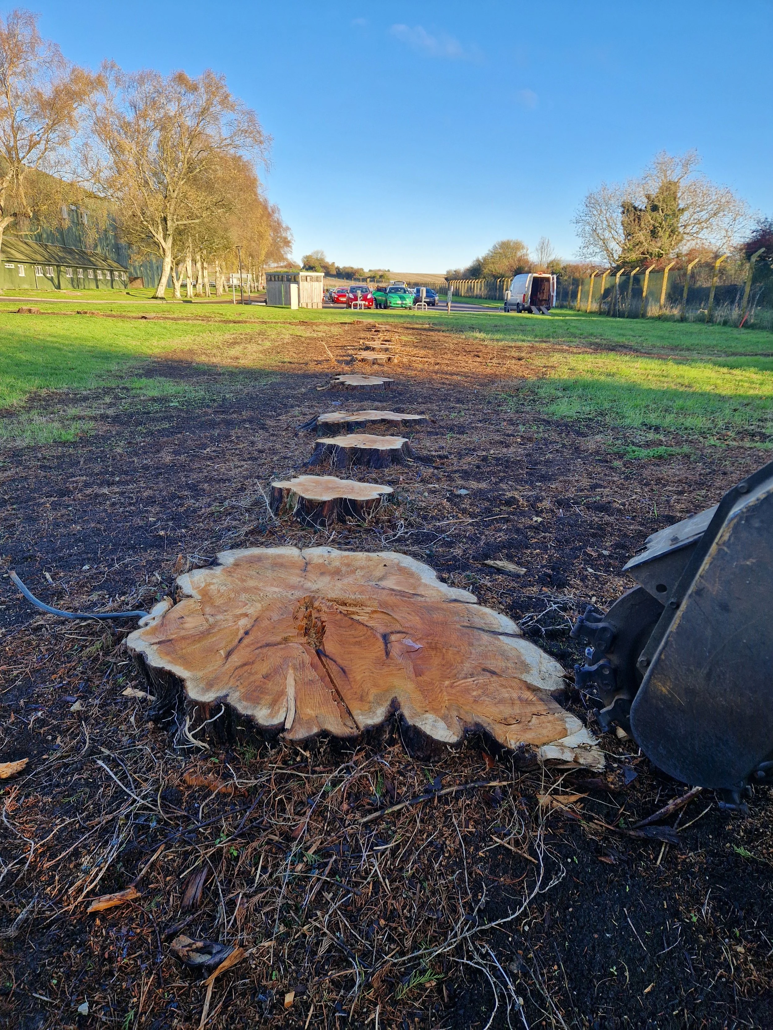 Stump Grinding Wiltshire