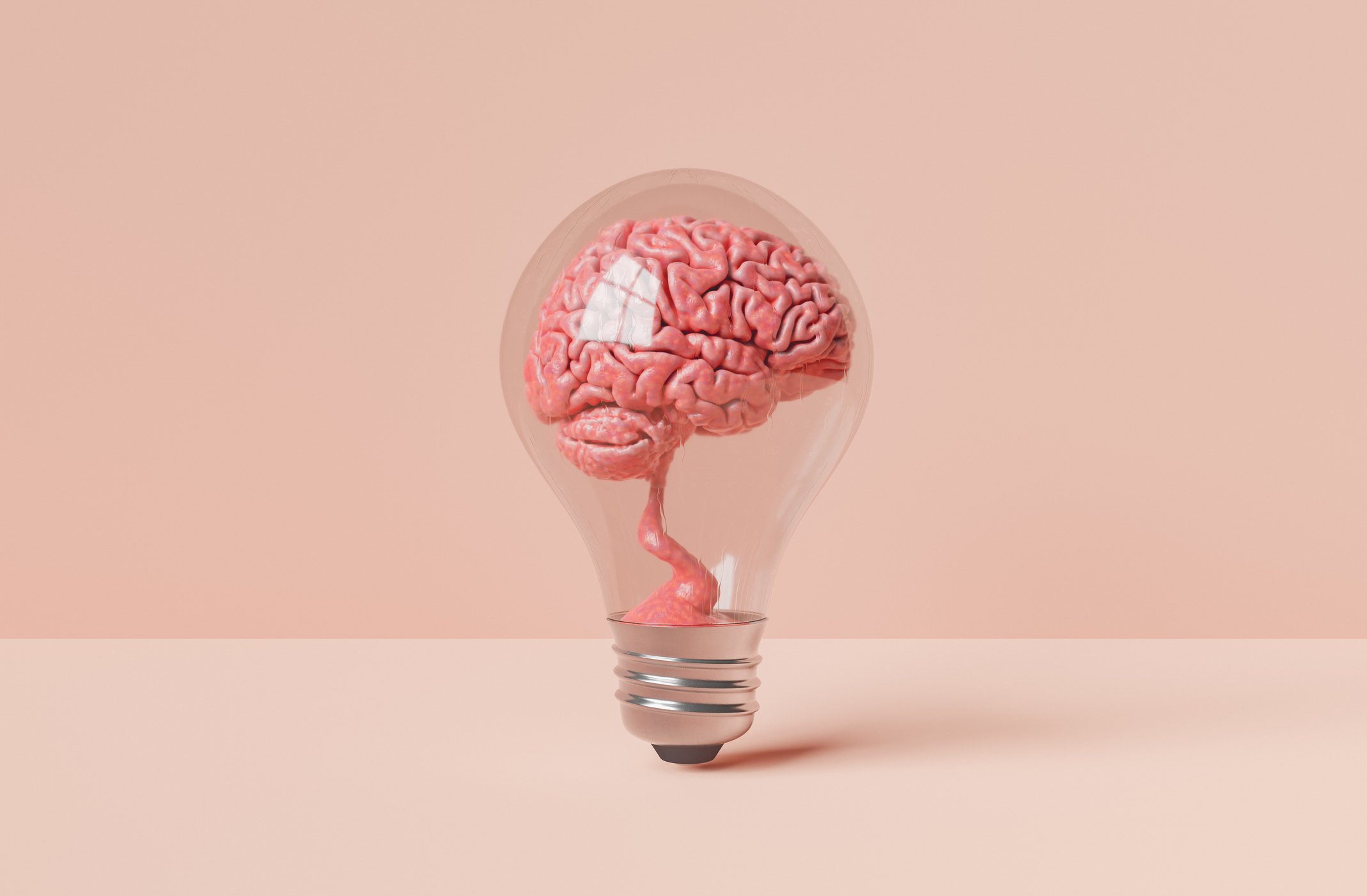 A light bulb with a pink human brain inside.