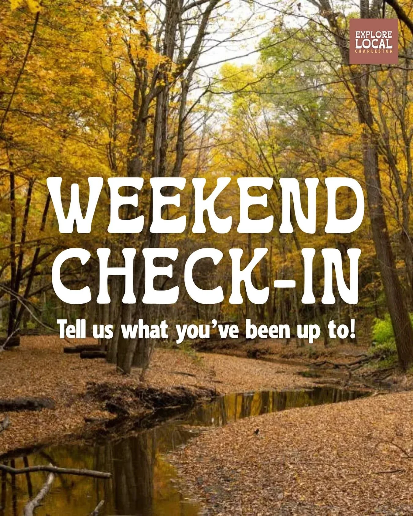 Slowing things down a bit today ☕️💛

This weekend, we went trick-or-treating with the kiddo and spent some quiet time cozying up with a couple of good books. How about you, Charleston? Did you stop by any favorite local spots, catch some fall events