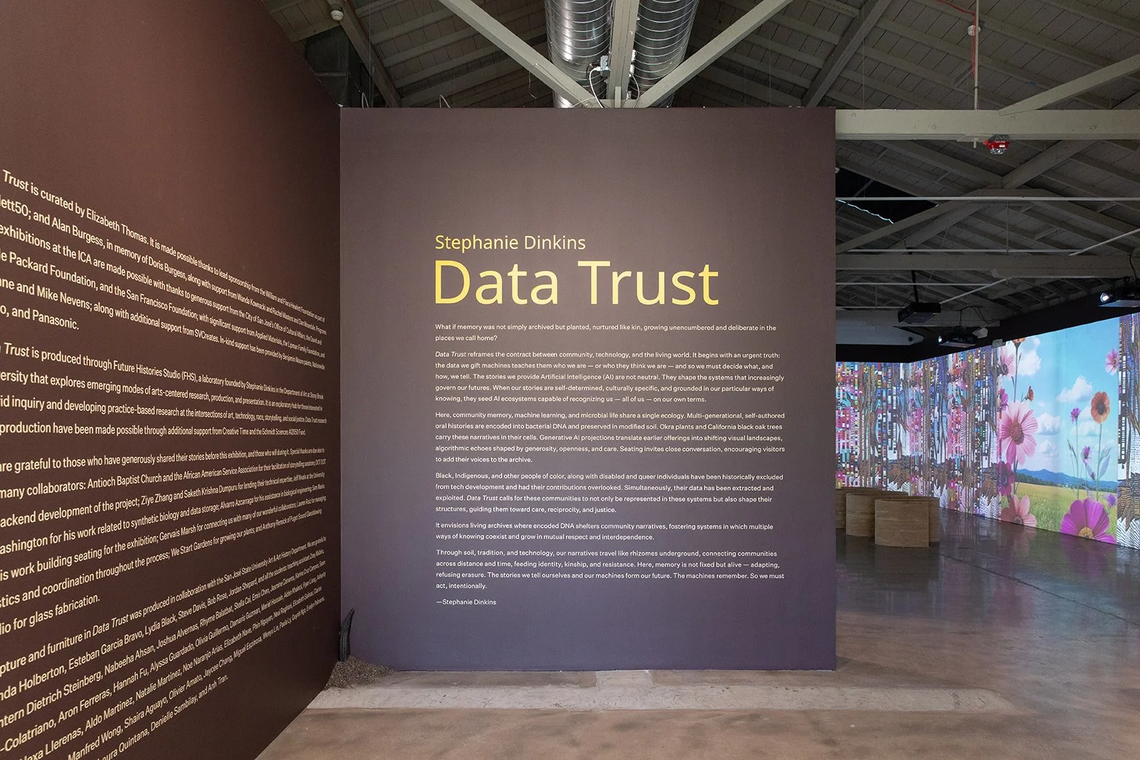 Stephanie Dinkins: Data Trust