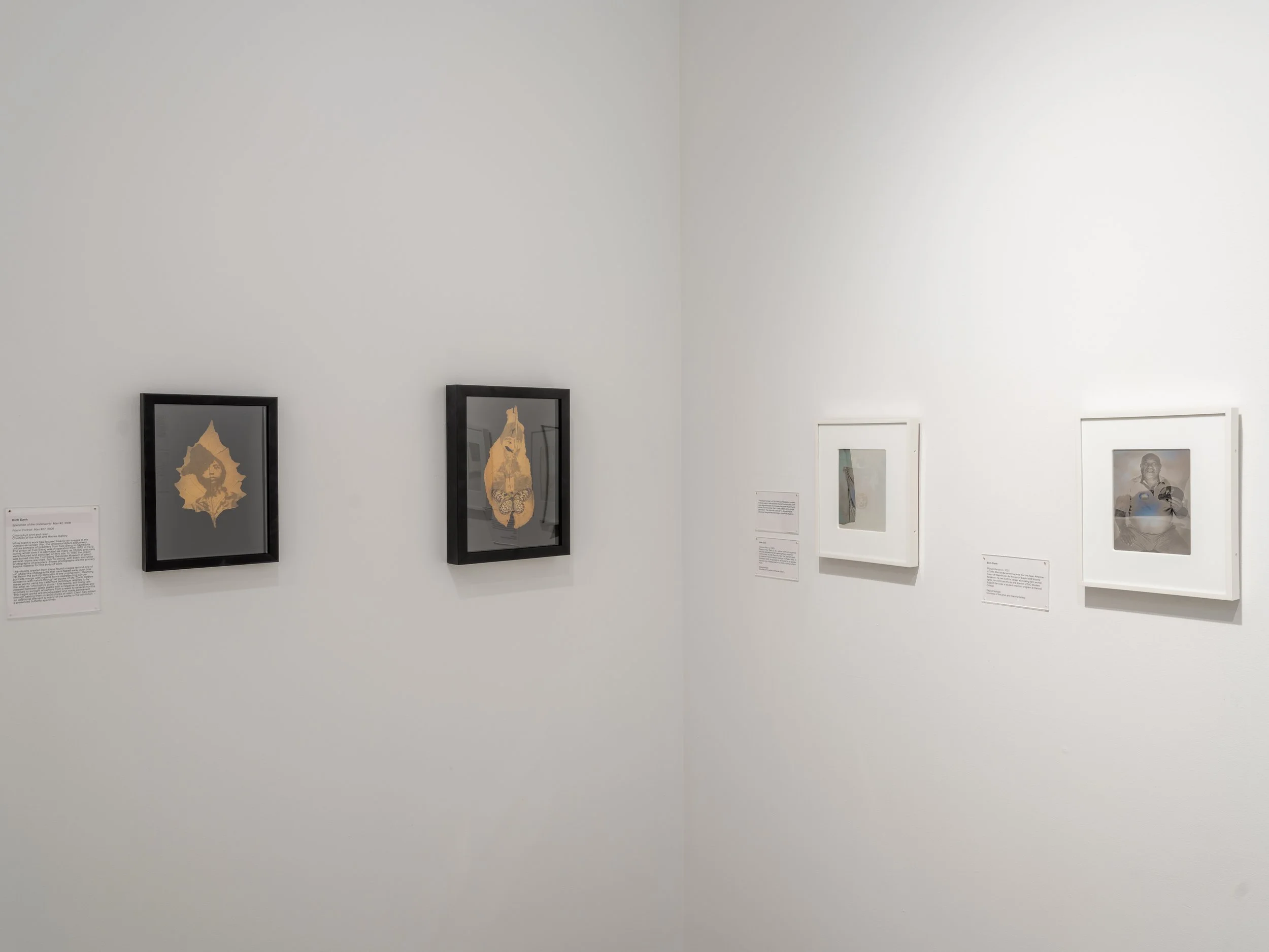 Binh-ICASJ-Installation-11.jpg