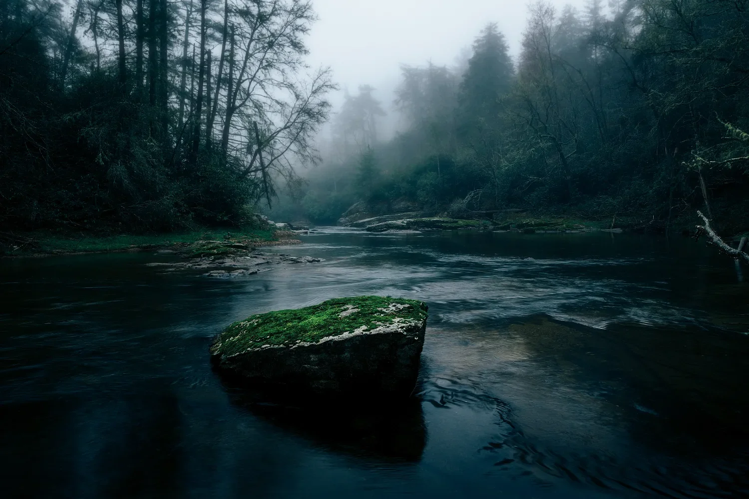 Moss-covered rocks in a river
