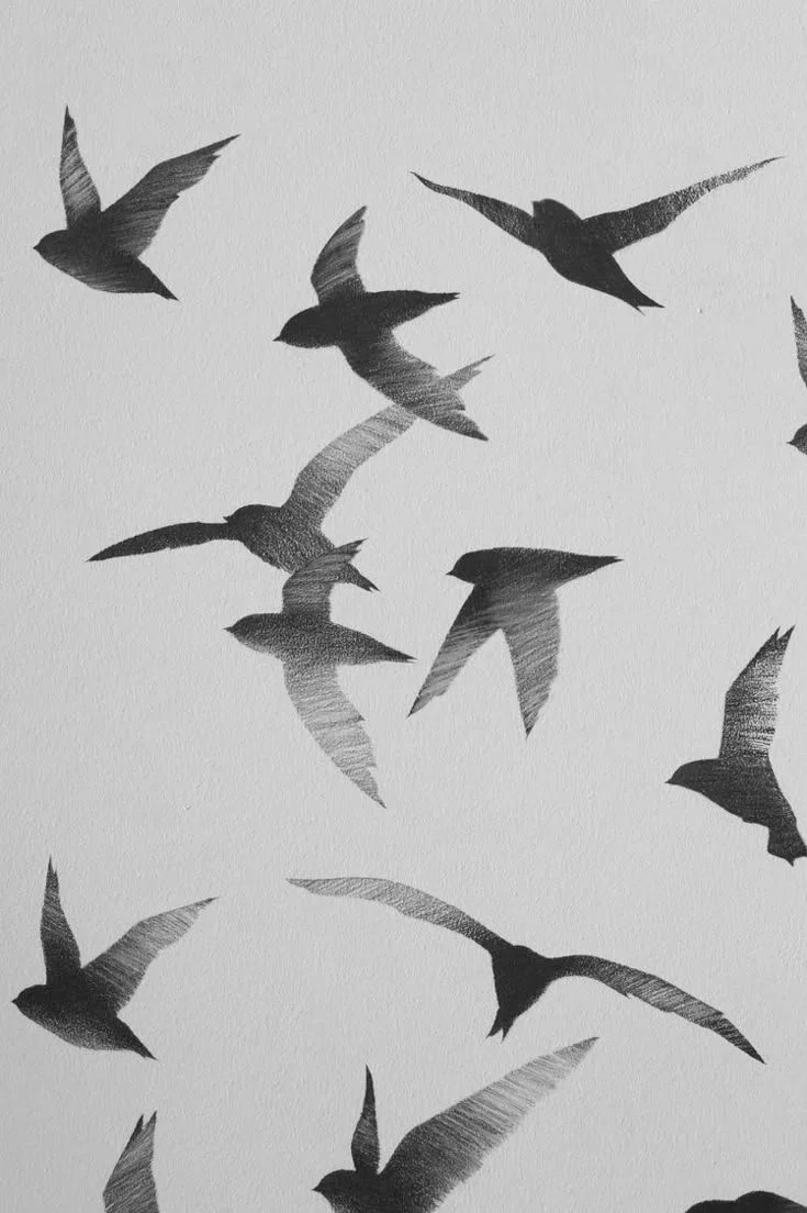 Silhouettes de plusieurs oiseaux en vol, noirs sur fond blanc.