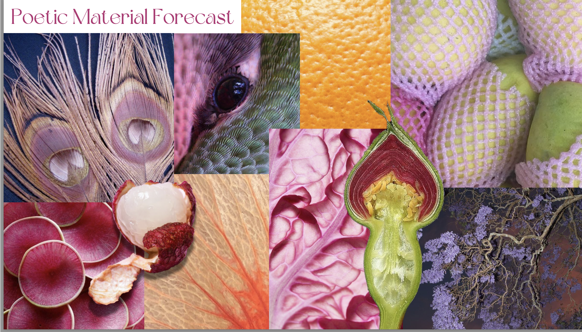 Screenshot 2025-11-29 at 2.22.12 PM.png