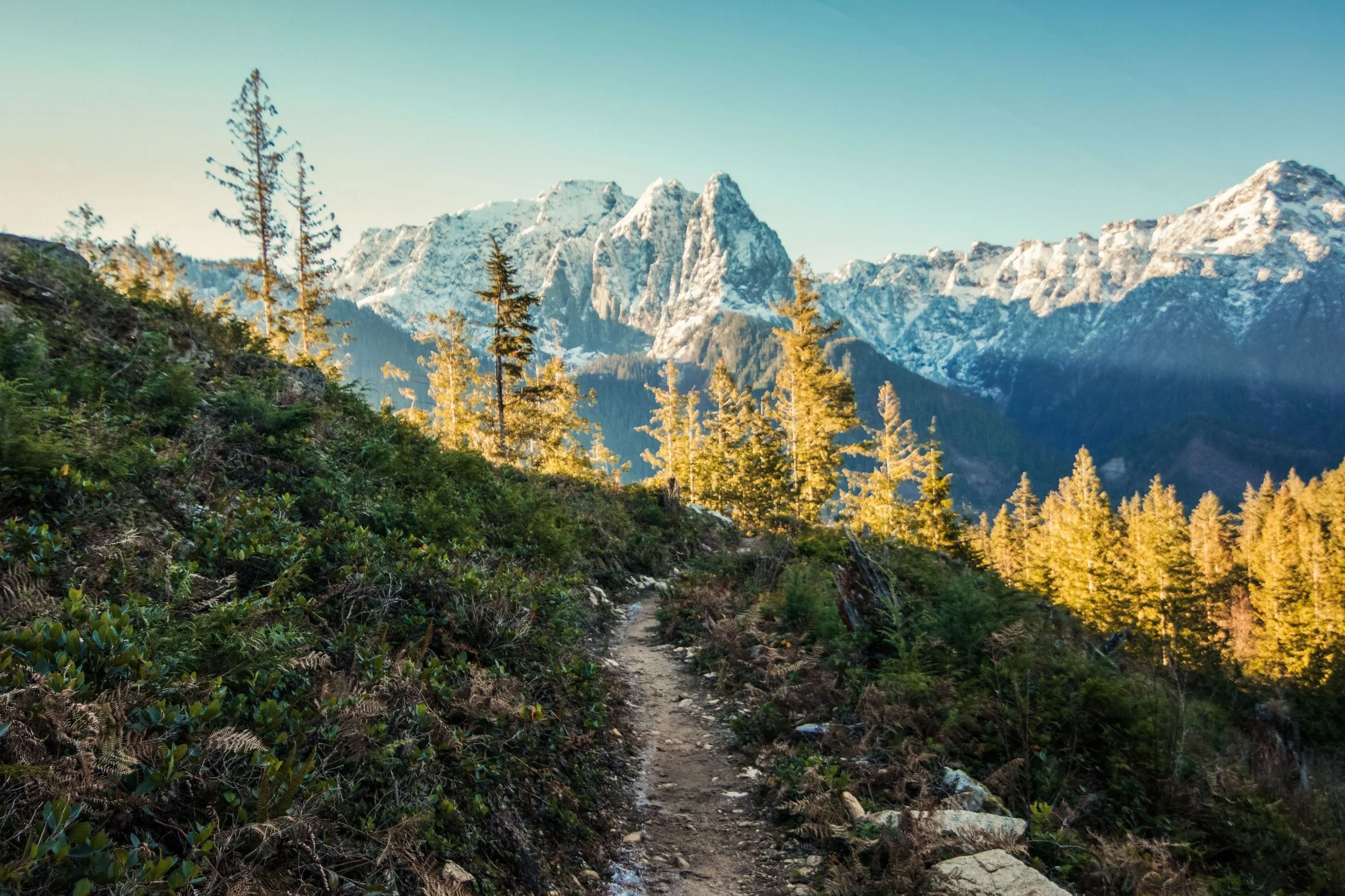 Exploring the Wider Sunnyside Community: On the Edge of the Wild — Newsletter, March 29, 2026