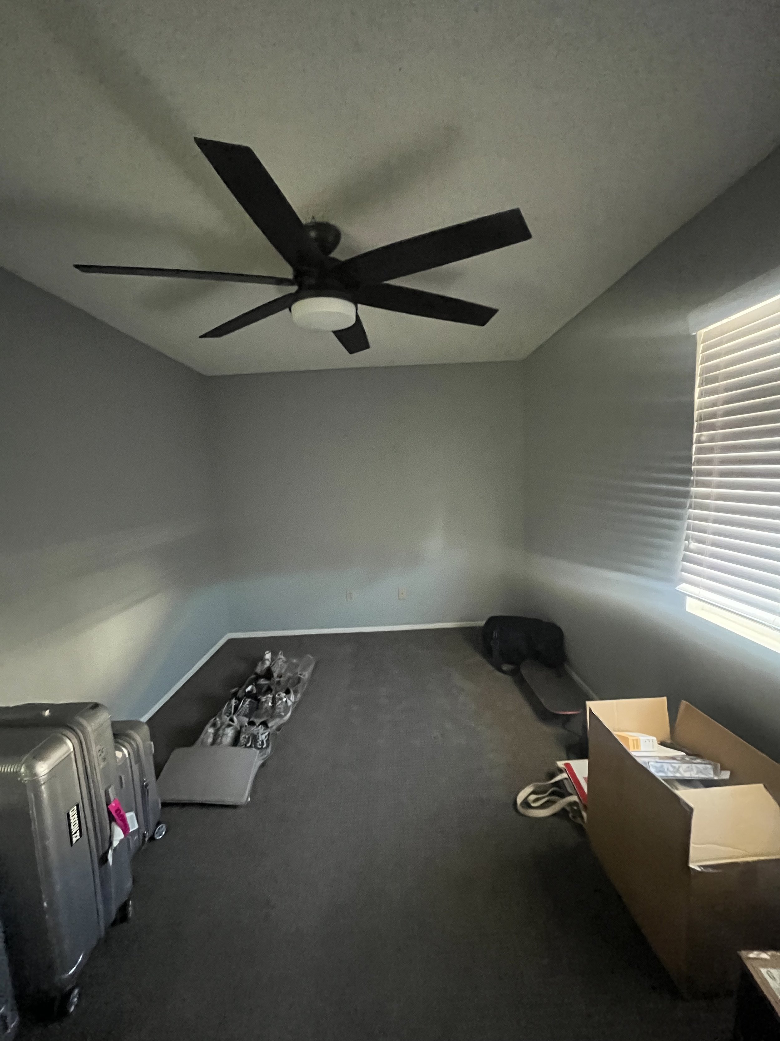 Empty room with gray walls, a black ceiling fan, a window with blinds, and some moving boxes and luggage on the dark carpeted floor.