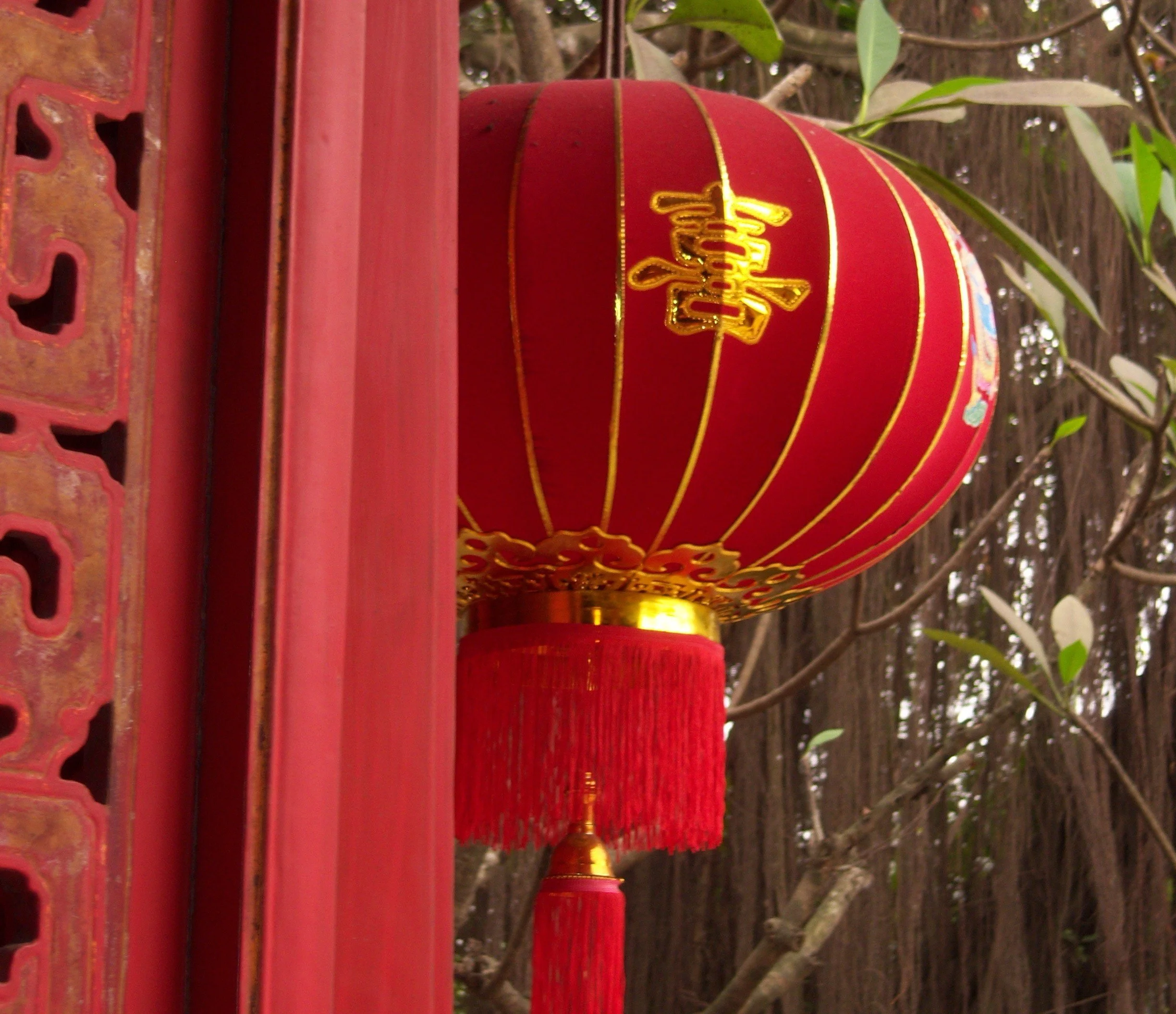 A red Chinese lantern with gold accents and a red tassel hanging below, situated outdoors among green leaves and tree branches.