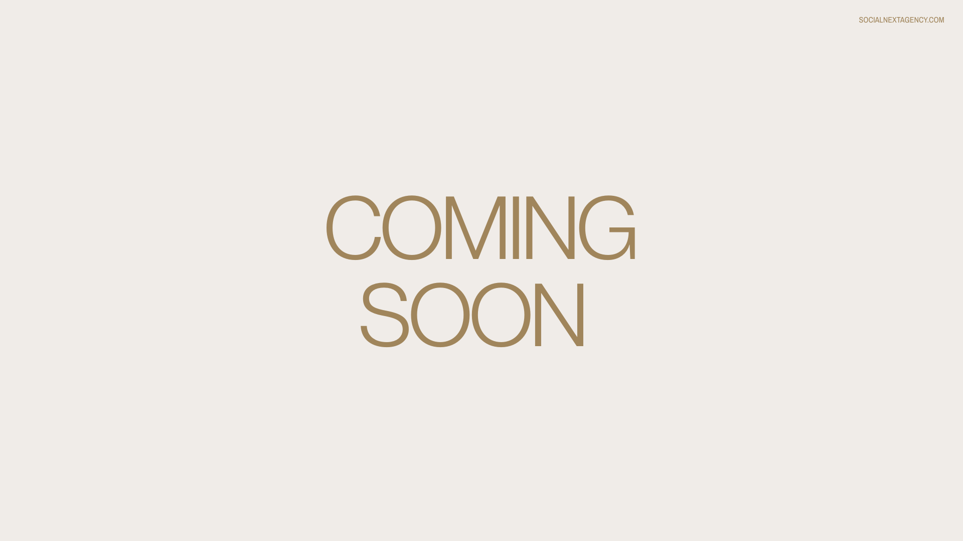 socialnextagency.com.png