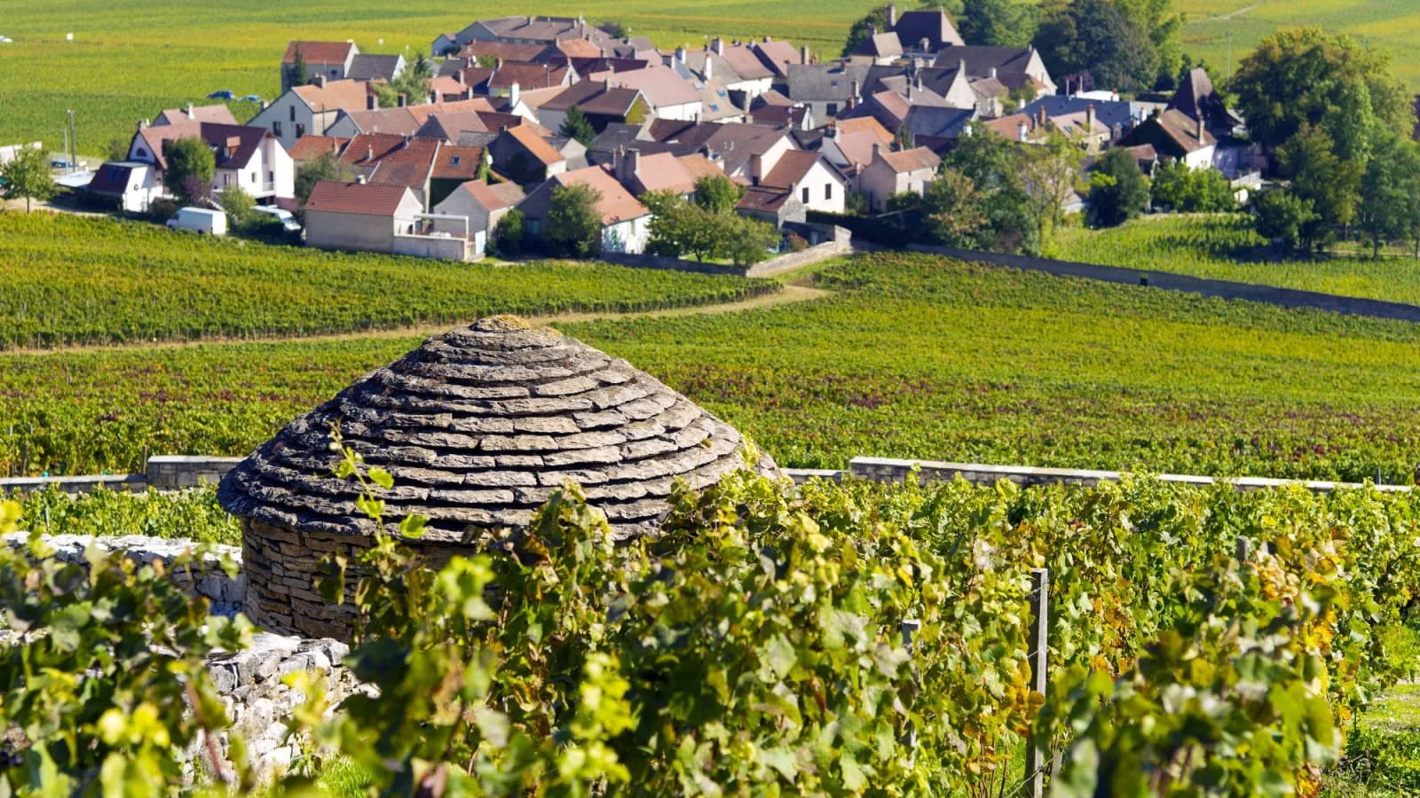cabotte-village-morey-saint-denis-bfct-alain-doire-1600x900.jpg
