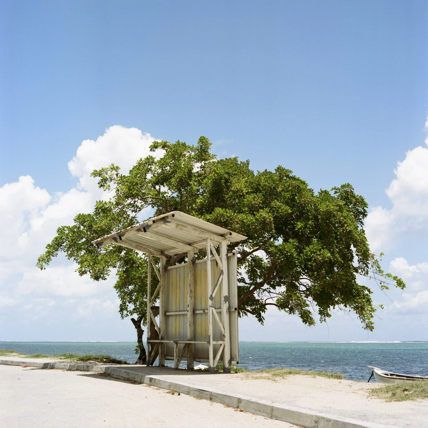 DW_Rolleicord_Mauritius_110010.jpg