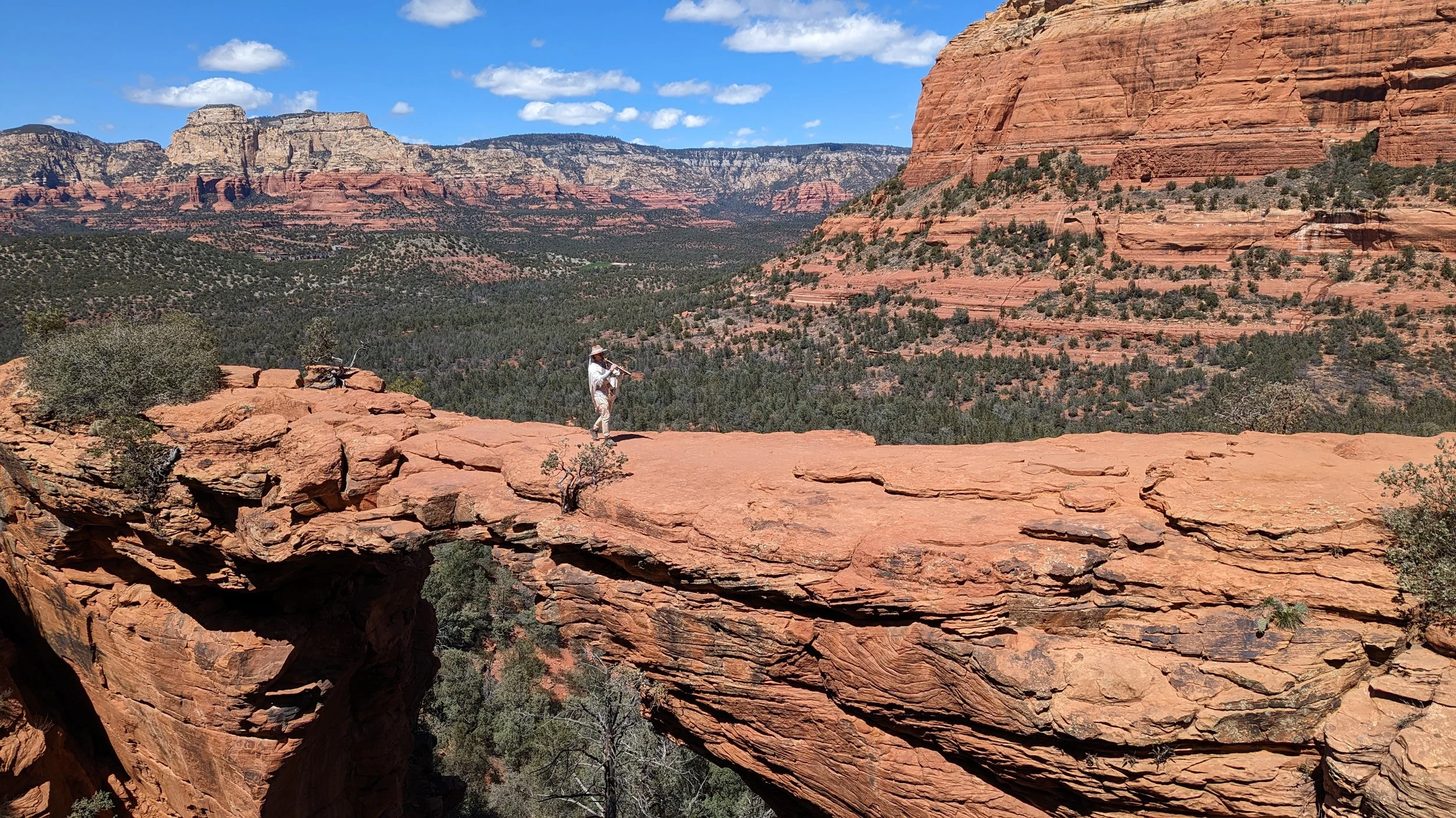 A person standing on a red rock formation in the desert, playing a violin, with a vast canyon landscape and rocky cliffs in the background.