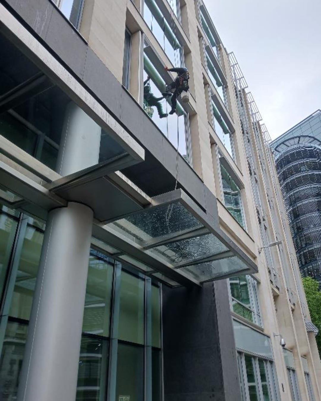 Professional window cleaning service maintaining clear and streak-free windows for commercial buildings