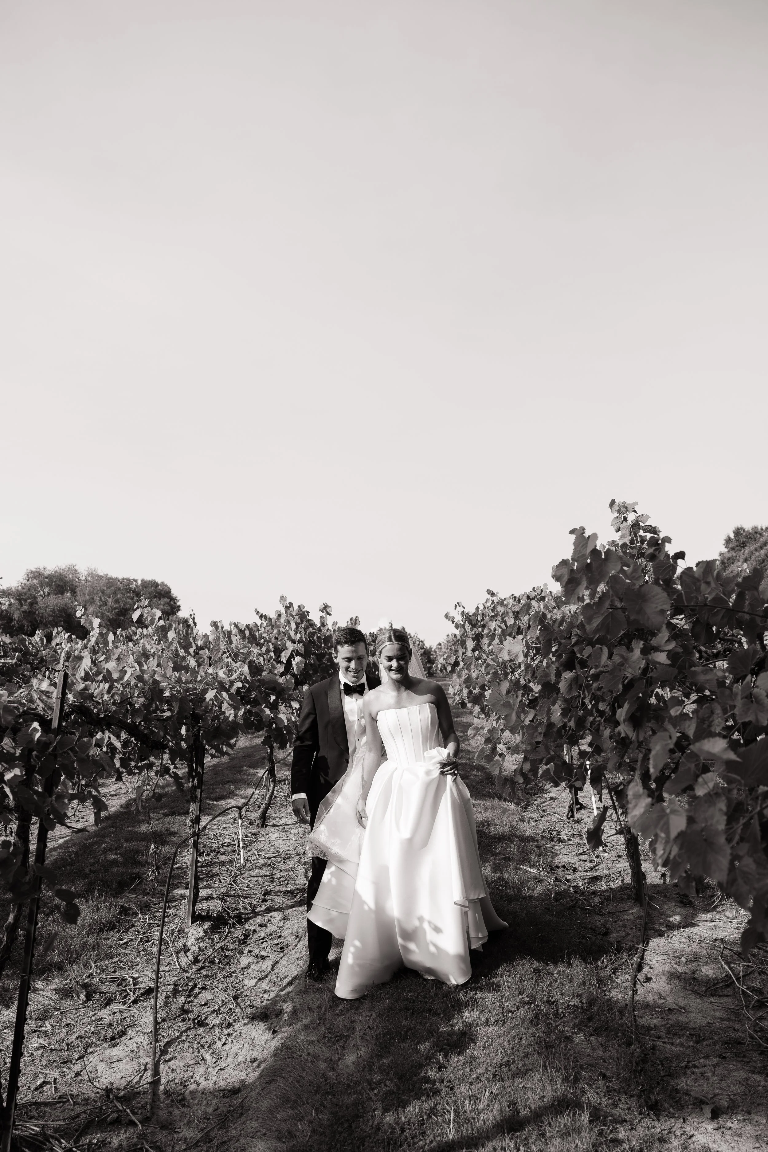 Outdoor dining table set up in a vineyard with string lights overhead, surrounded by grapevines and trees under bright sky.