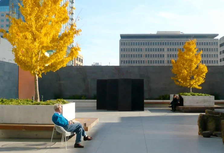 sfmoma yellow trees.jpg