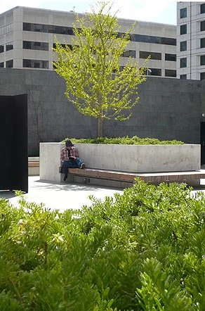 sfmoma_wallwithgreen.jpg