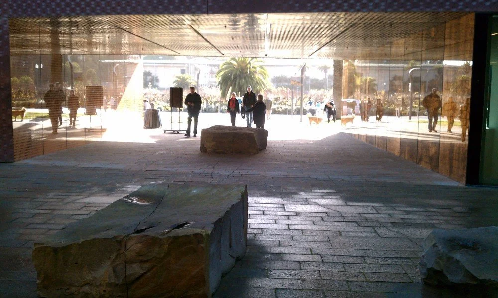 IMAG0323.jpg
