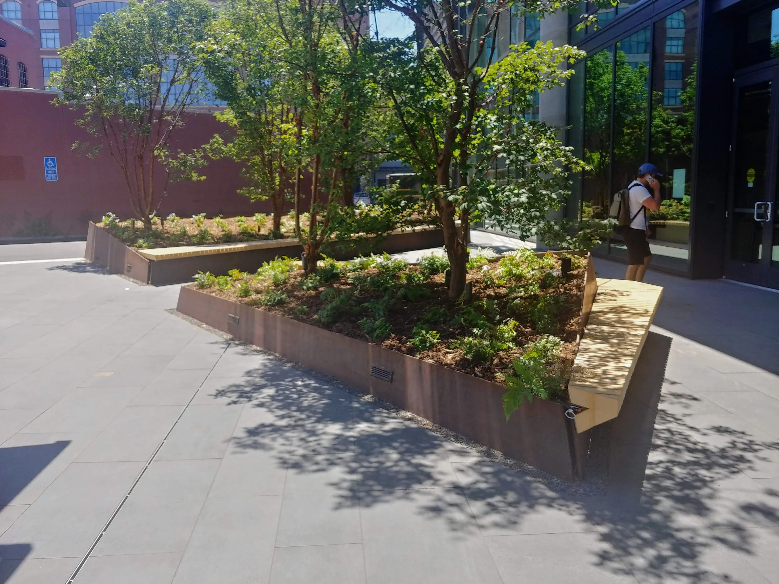 505 Brannan exterior pavers and planters.jpg