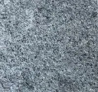Nicola Grey Falmed 003A.jpg