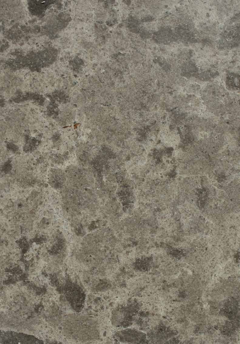 Baycliff Caulfield Honed Limestone