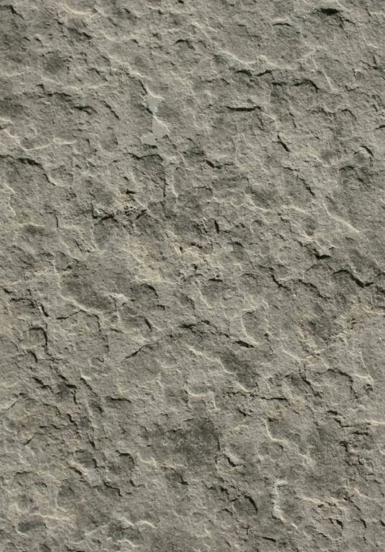 Baycliff Caulfield Flamed Limestone