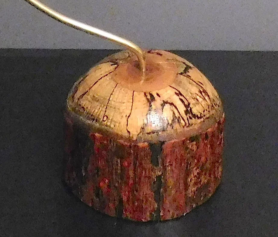 hum maple 3 copy.jpeg