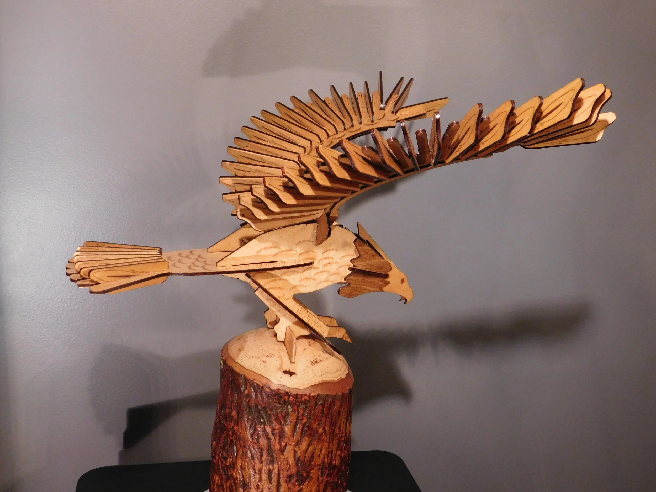 eagle on stump 2.JPG